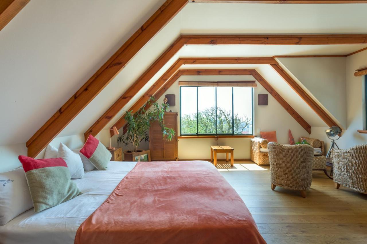 Lezard Bleu Guest House Kapsztad Zewnętrze zdjęcie